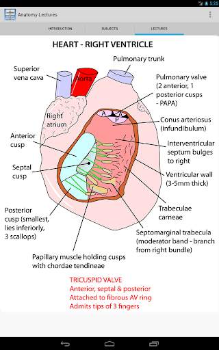 Anatomy Lectures screenshot 3