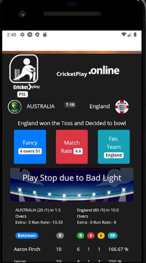 Cricket Play online screenshot 2