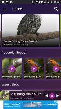 Bird Sounds - Free MP3 Download 4 تصوير الشاشة
