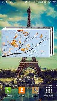 Gallery Widget скриншот 1