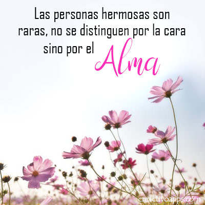 Frases sabias - Frases de vida 17 تصوير الشاشة