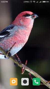 Bird wallpaper screenshot 11