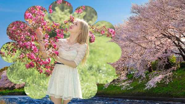 Sakura Frames For Photos screenshot 8