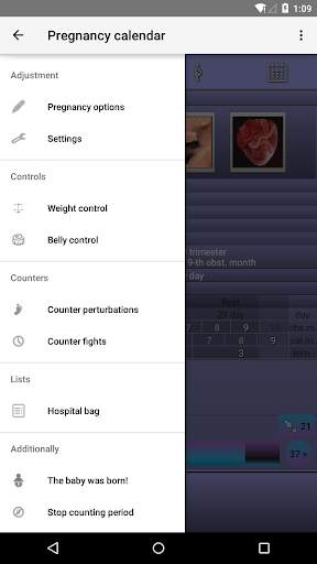 Pregnancy Calendar screenshot 4