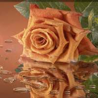 Chocolatey Rose Live Wallpaper on 9Apps