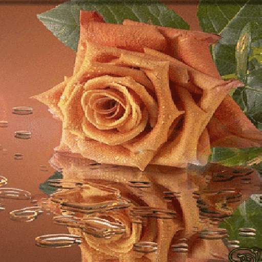 Chocolatey Rose Live Wallpaper 3