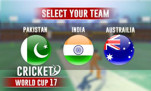 Cricket Cup screenshot 2