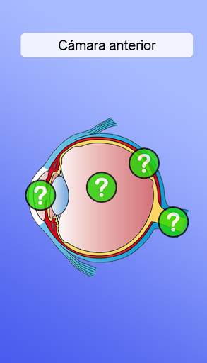 Anatomía screenshot 4