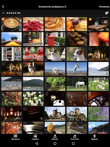 Canon Camera Connect скриншот 7