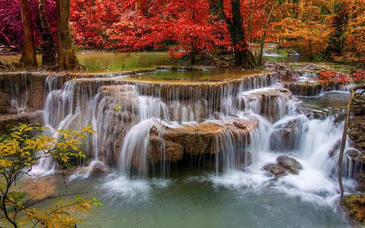 10000  Nature Wallpapers HD (Offline) screenshot 6