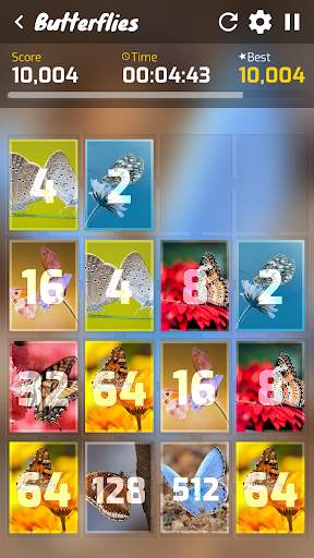 Collages 2048 screenshot 5