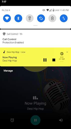 Desi Hip Hop Radio screenshot 3