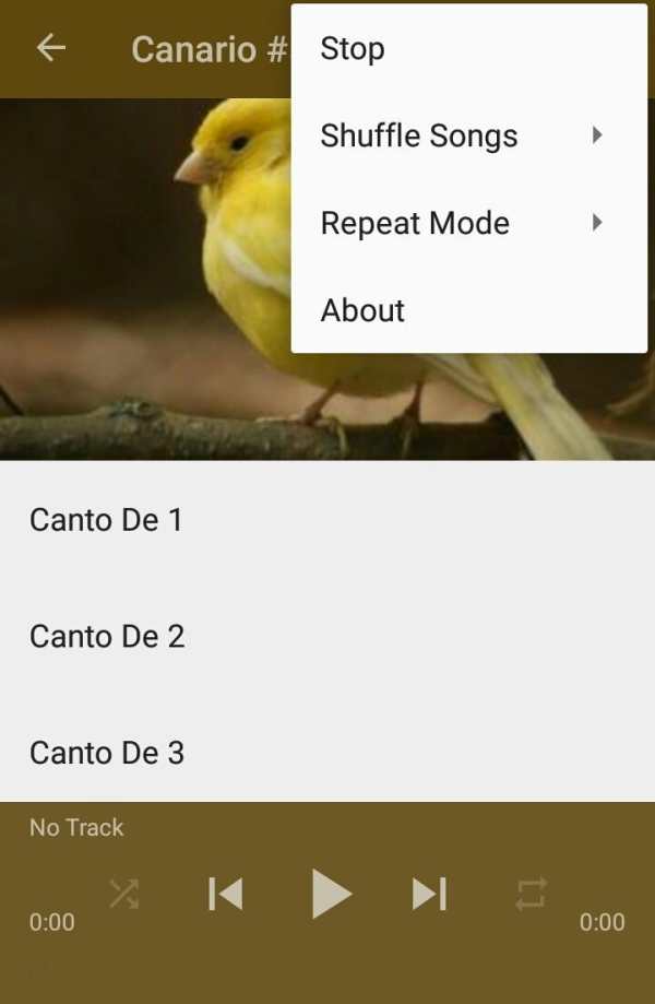 Canto De Canario Timbrado 6 تصوير الشاشة