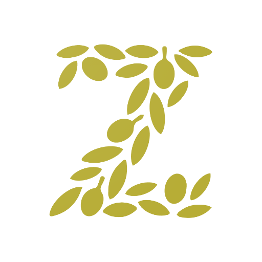 Zitona Driver icon