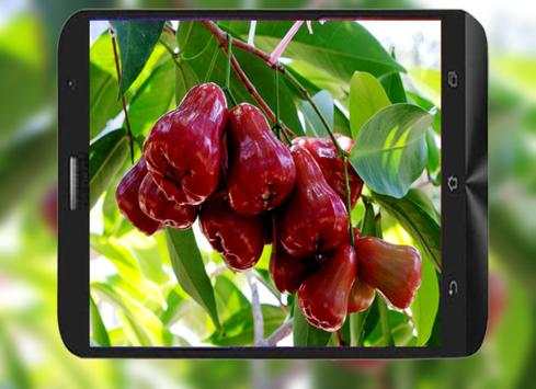 Camera Selfie & Video_Camera For Asus Zenfone 5 6 تصوير الشاشة