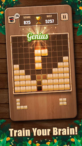 Wooden 100 Block Puzzle screenshot 1
