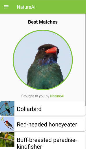Nature Identification - Birds, Animals & Fish स्क्रीनशॉट 9