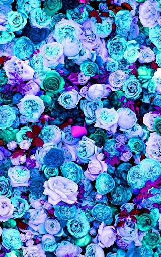 Blue Rose Live Wallpaper screenshot 7
