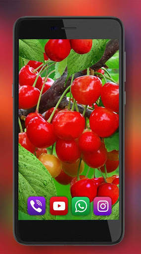 Berries Summer Live Wallpaper screenshot 4