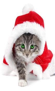 Christmas Cats HD wallpaper screenshot 1