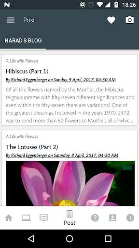 Flower Song screenshot 4
