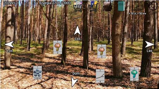 Zaradny Polak screenshot 8