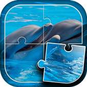Dolphins Jigsaw Puzzle 5.2