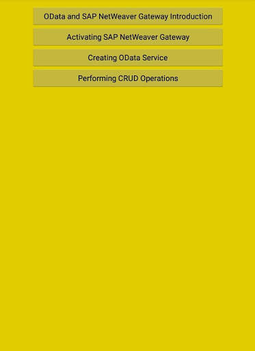 Fiori, UI5 and OData - Quick Start Guide скриншот 2