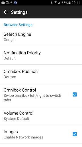 German Browser screenshot 3
