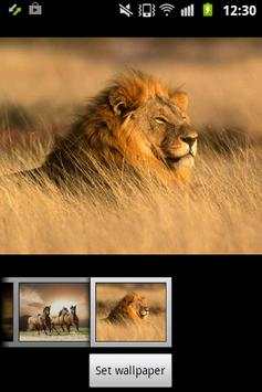 Wild Animals ADW Launcher screenshot 6