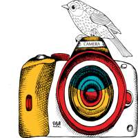 Photo Pencil Sketch Lab - Free Photo Editor Pro icon