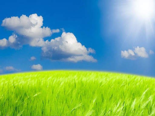 Nature Live Wallpaper screenshot 5
