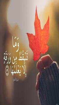 أقوال تذهل القلب والعقل 4 تصوير الشاشة