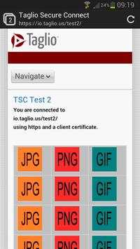 Taglio Secure Browser - Beta screenshot 1