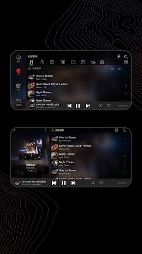 FiiO Music screenshot 5