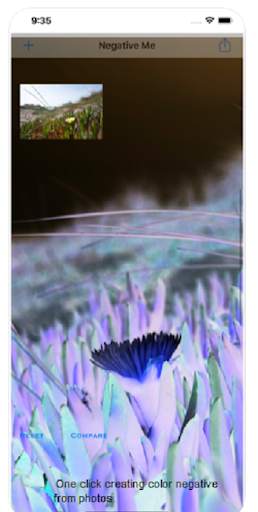 Color Negative Camera - Negative video maker LIVE screenshot 5