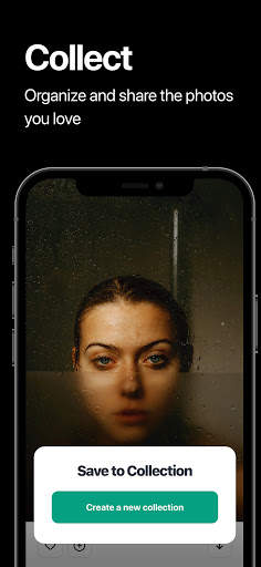Pexels: HD  videos & photos screenshot 5