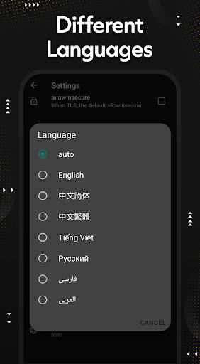 Hegza vpn screenshot 7