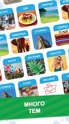 101 Картинка : Фото Викторина скриншот 3