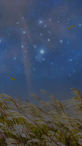 Natural Reed Live Wallpaper screenshot 3