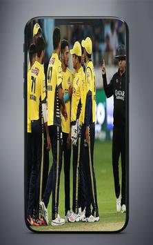 PSL 4 Live Cricket TV ( Watch PSL Matches Online ) screenshot 3