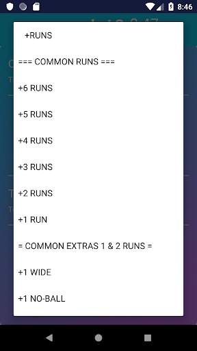 Cricket Umpire Ball Counter screenshot 3