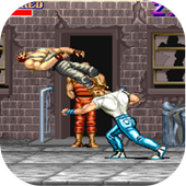 Final Fight Guide icon