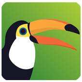 Private Puffin Web Browser Advise 1.0