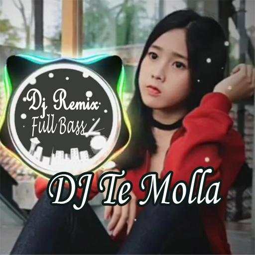 Dj Te Molla Remix Full Bass Offline screenshot 1