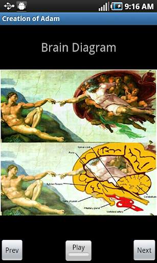 Vatican Sistine Chapel 4.2 screenshot 4