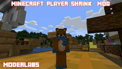 Player shrink mod screenshot 3