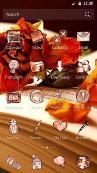 Book and Flower DIY Theme screenshot 3
