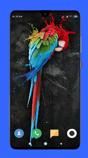 Parrot Wallpaper HD screenshot 11