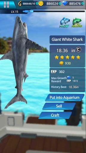Fishing Championship screenshot 7